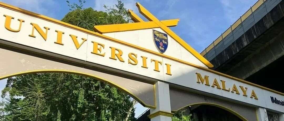 高考大文组合532，圆梦QS58马来亚大学