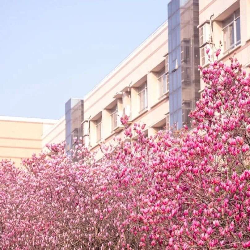 华科大2026年复试线出炉！